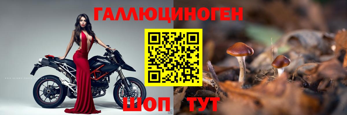 Галлюциногенные грибы прущие грибы  Вход с VPN  дарнет шоп  Элиста  Псилоцибиновые грибы мицелий 