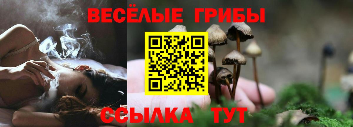 Псилоцибиновые грибы мицелий Элиста